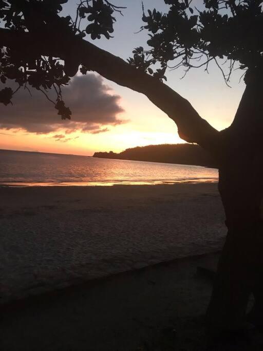 Cantinho Para Descansar A 200Mts Da Praia. Sao Sebastiao  Buitenkant foto